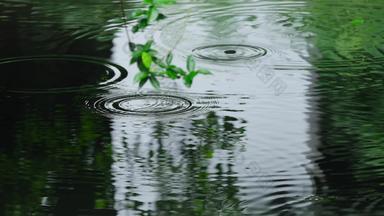 江南夏季雨季庭院雨滴升格空镜